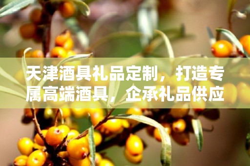 天津酒具礼品定制，打造专属高端酒具，企承礼品供应链助力商务往来