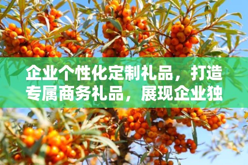 企业个性化定制礼品，打造专属商务礼品，展现企业独特风采