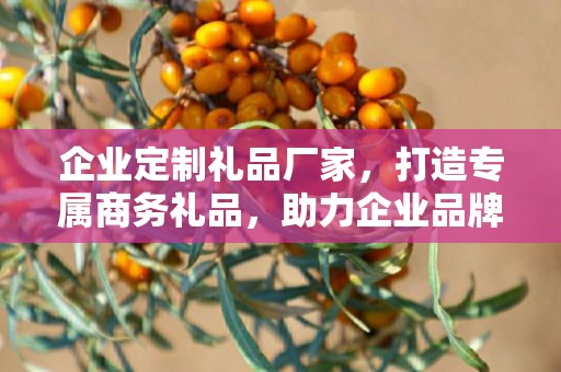企业定制礼品厂家，打造专属商务礼品，助力企业品牌发展